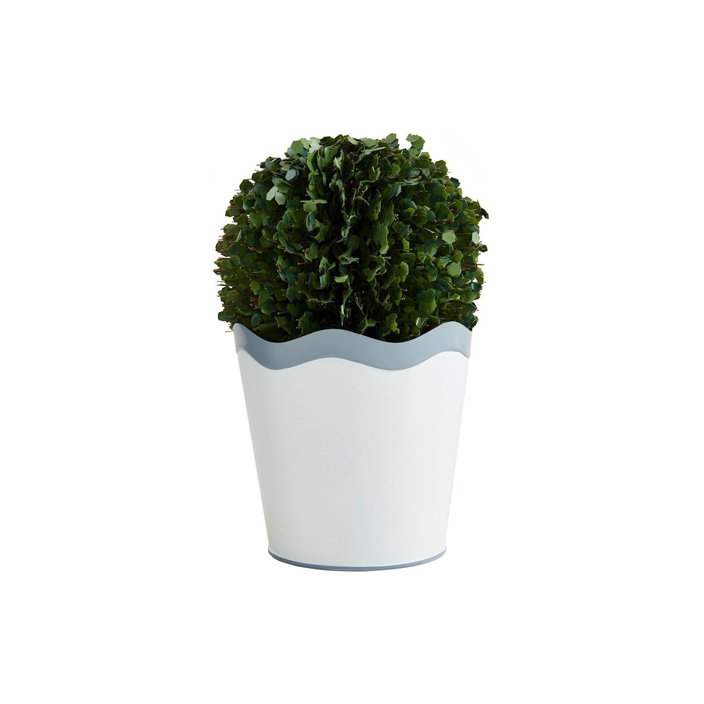 Mud Pie Lg Scalloped Boxwood Pot