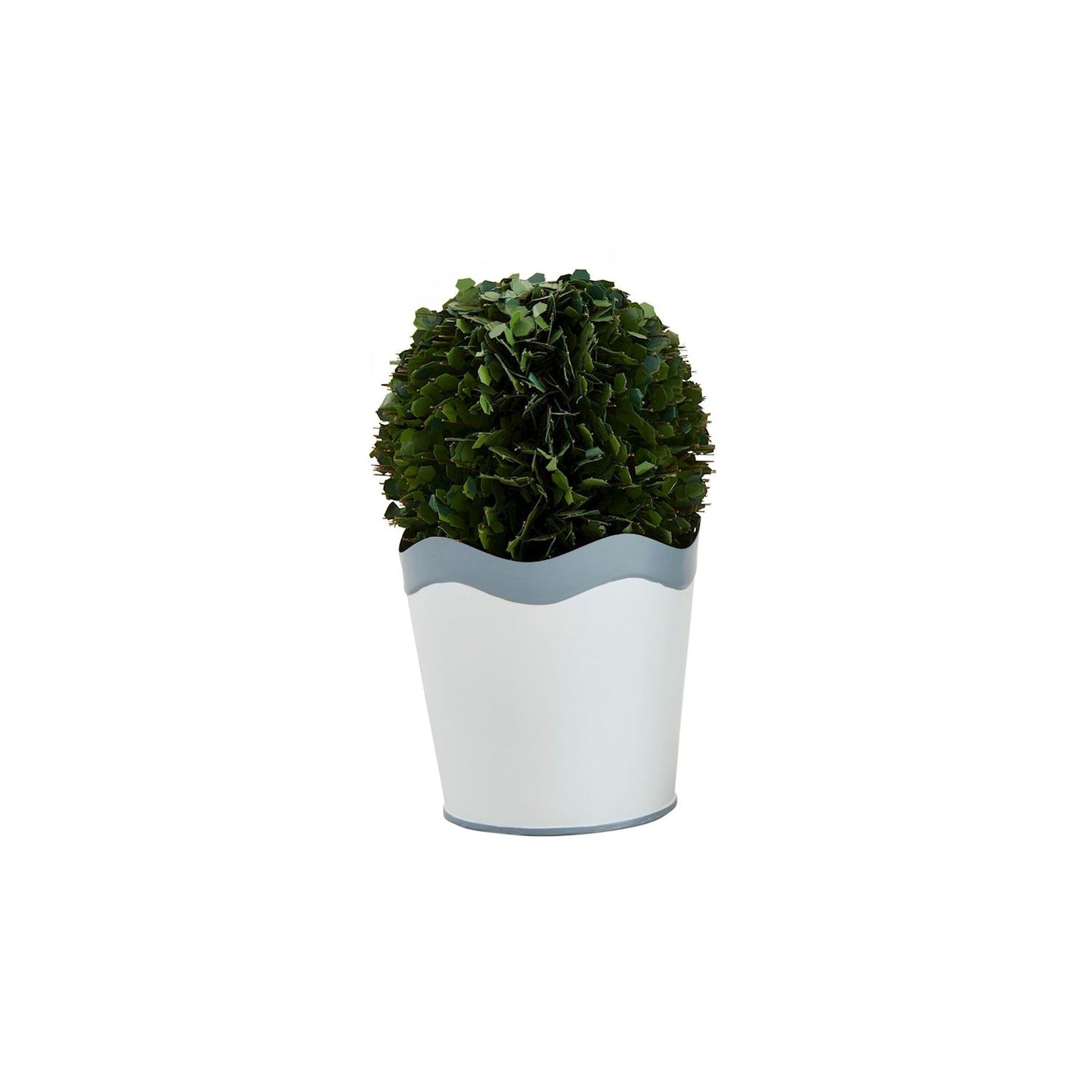 Mud Pie Sm Scalloped Boxwood Pot