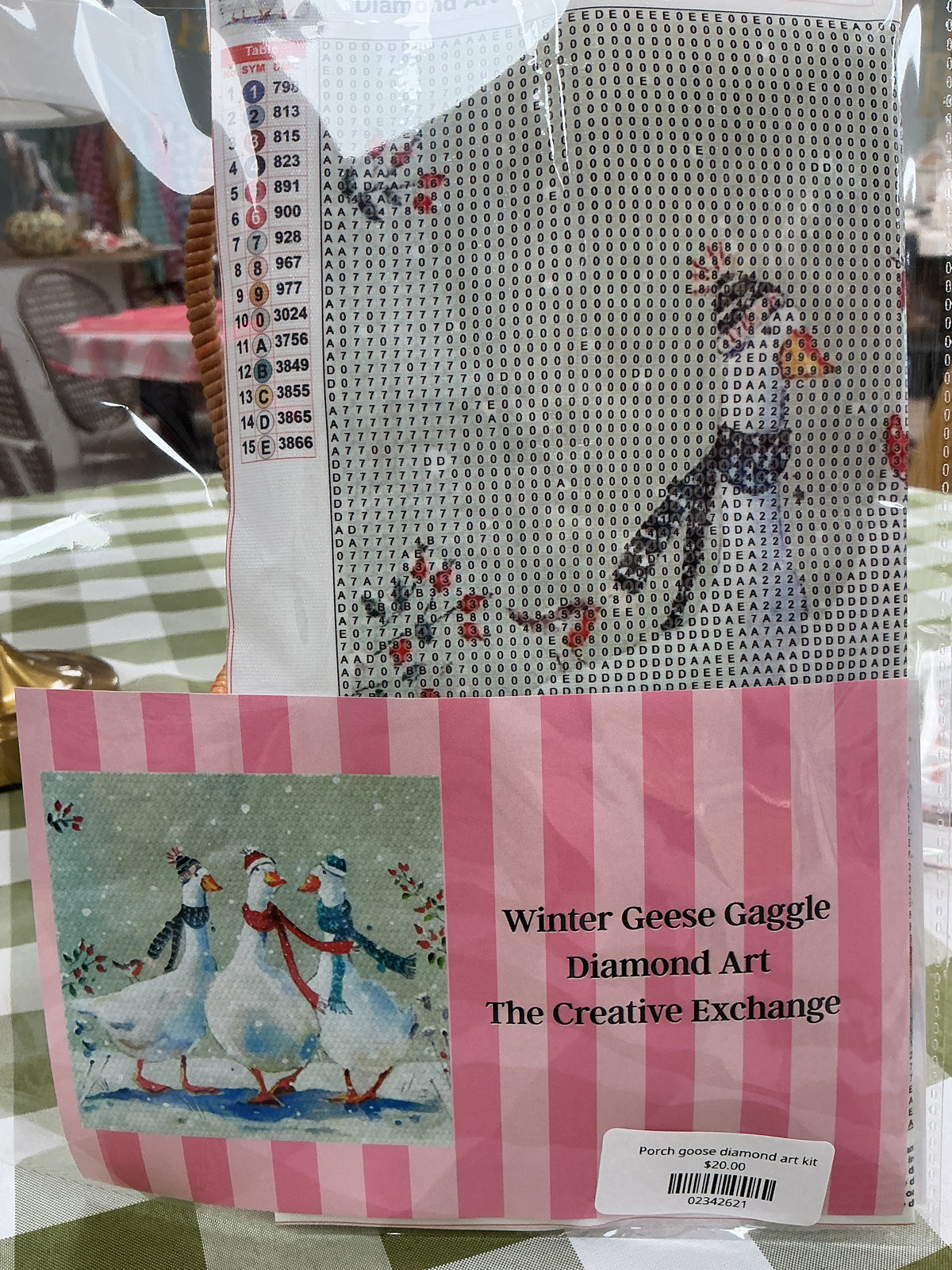 Winter goose diamond art kit
