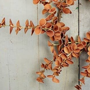 ISB79972- 14" (6.5in) Fall Snapdragon Leaves wreath