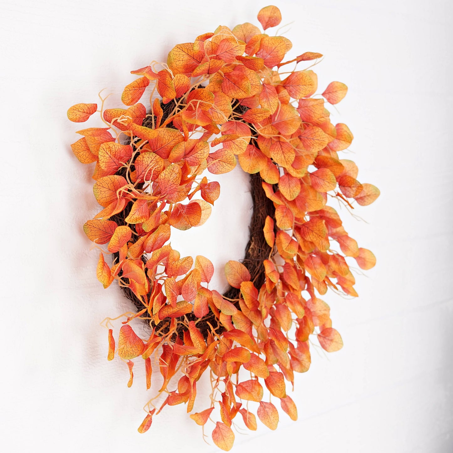 24in Twiggy Wreath-Fall Mix Silver Dollars