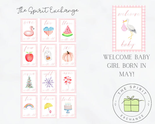 GIRL Personalized First Year Monthly Seasonal Baby Milestone Cards | Customized to Baby's Birth Month (Copy)