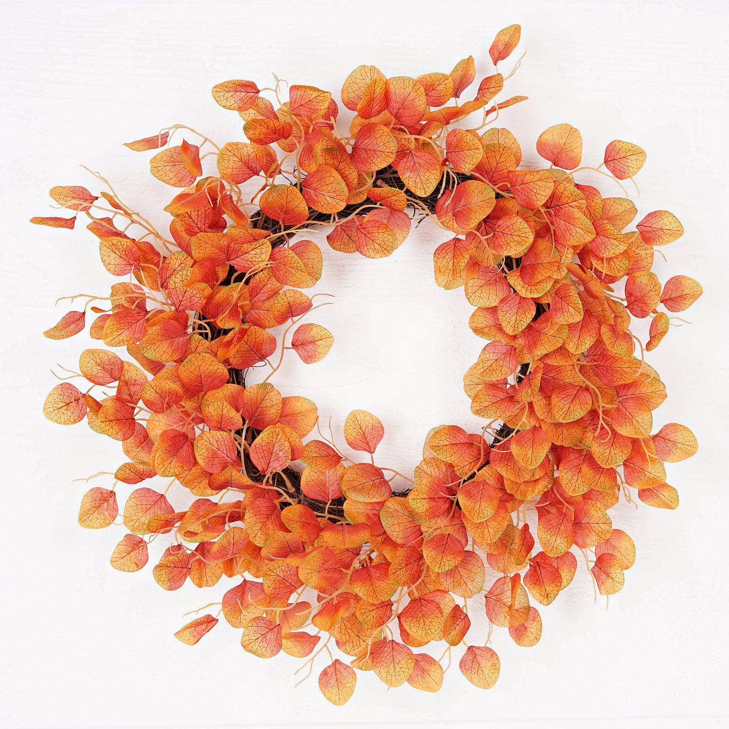 24in Twiggy Wreath-Fall Mix Silver Dollars