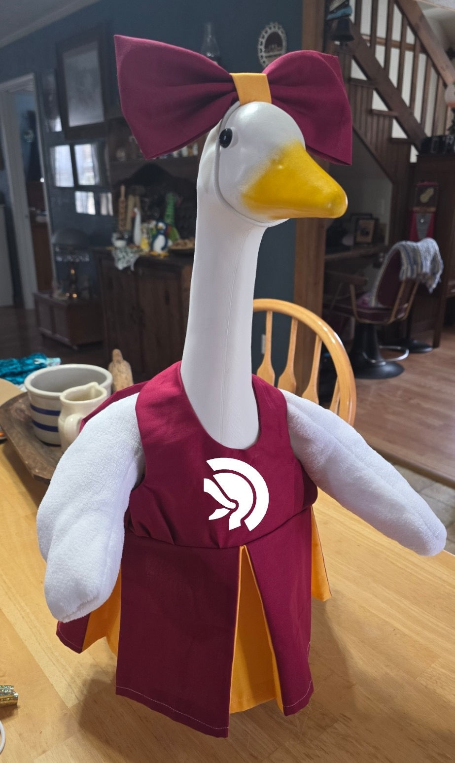 PREORDER: School Spirit Goose Outfit