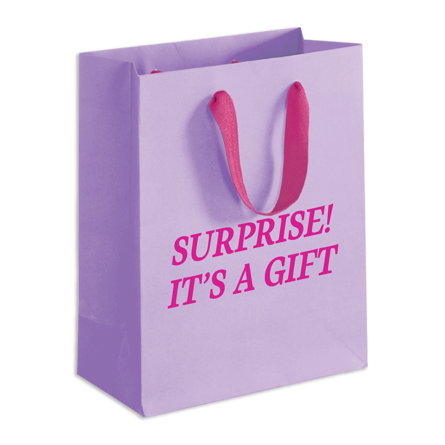Surprise Gift Bag