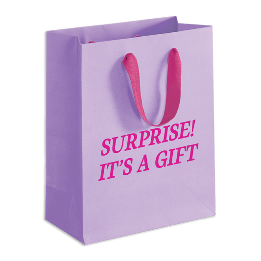 Surprise Gift Bag