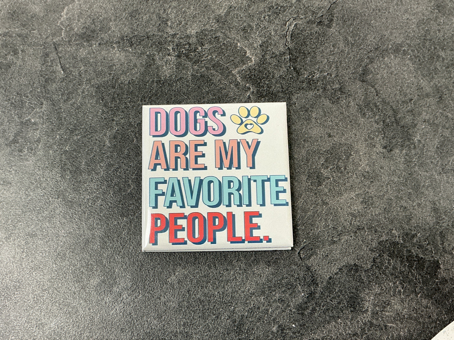 Dogs are my favorite people magnet