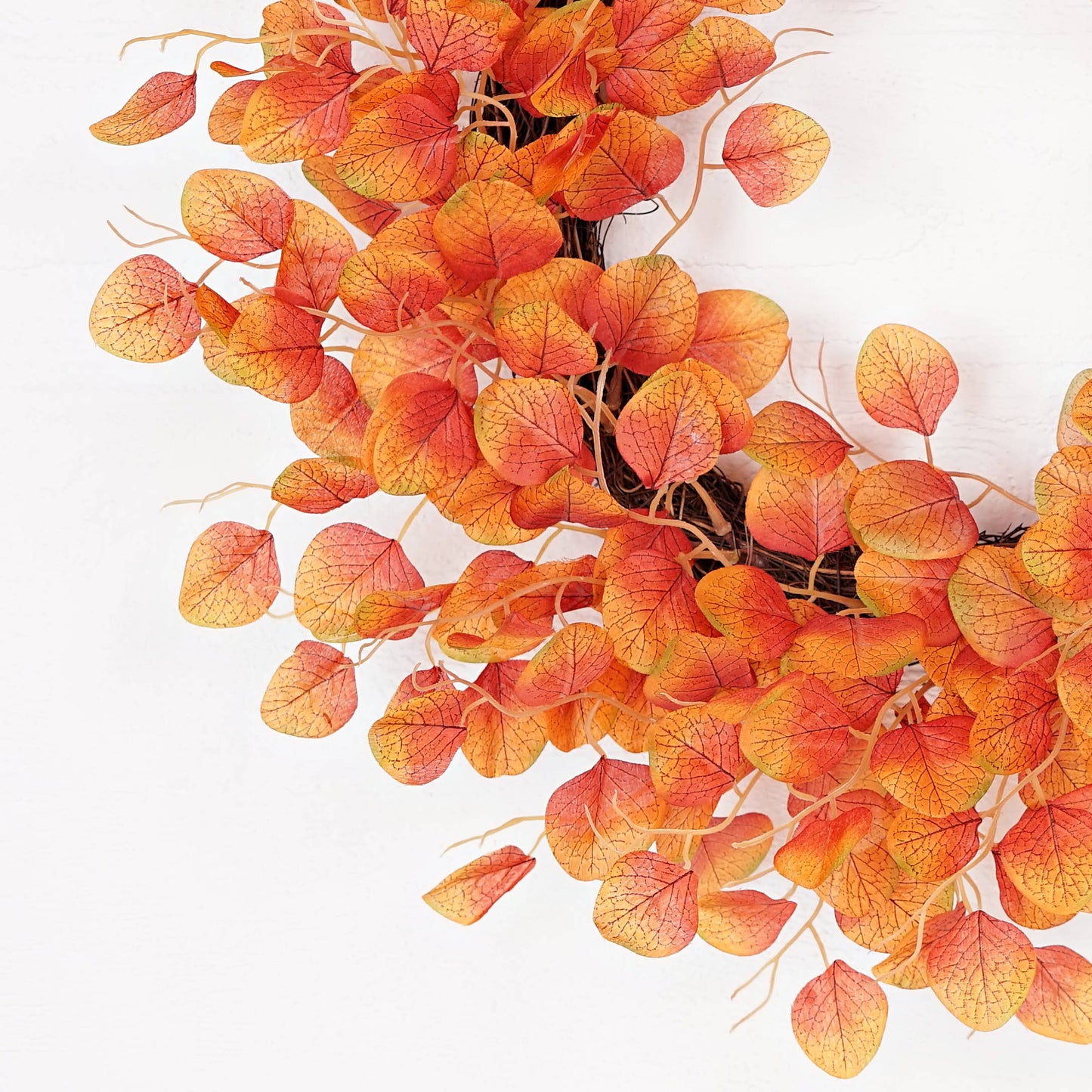 24in Twiggy Wreath-Fall Mix Silver Dollars