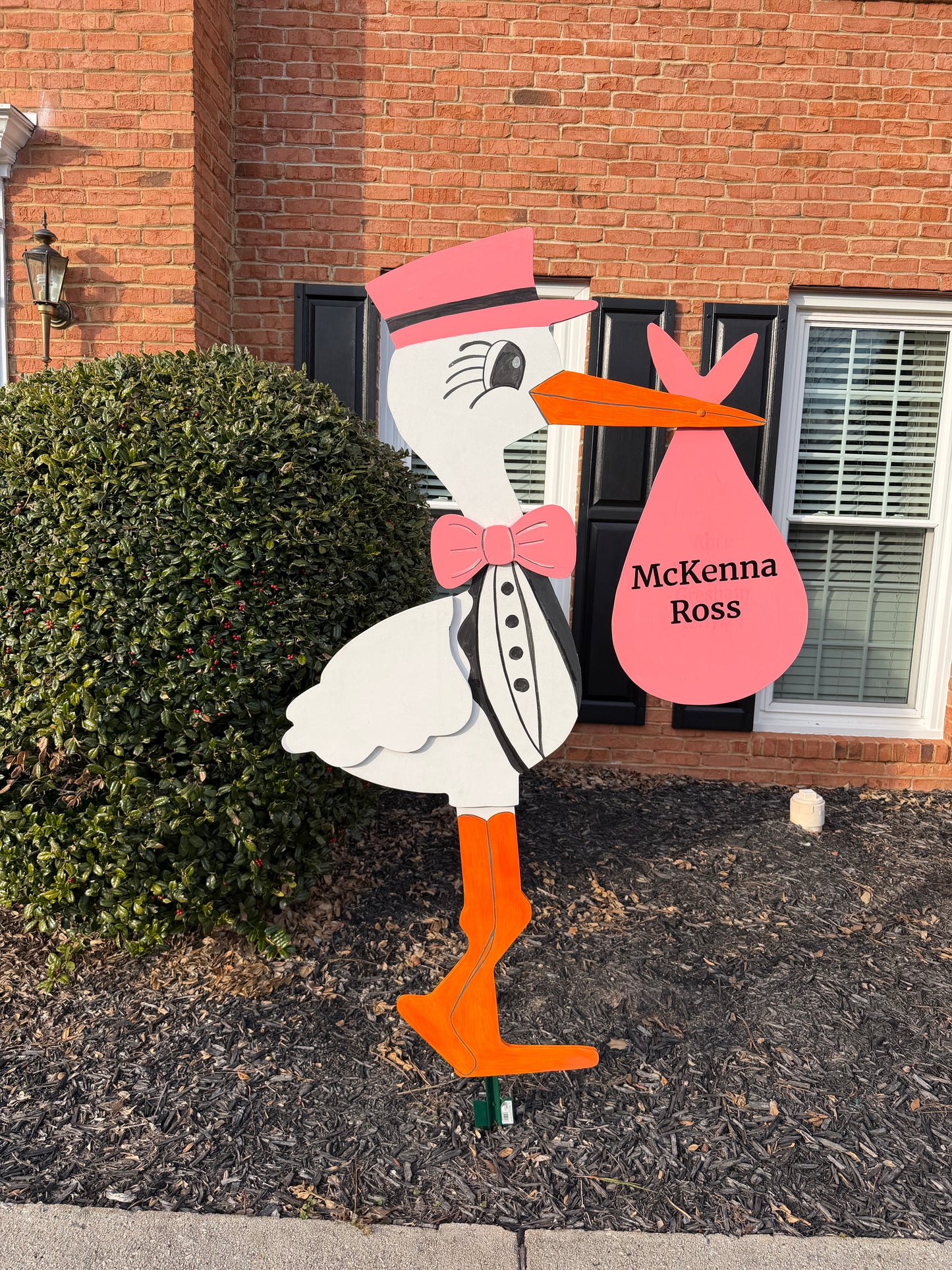 Rent the stork- pink