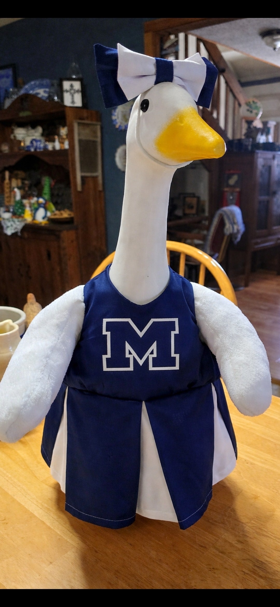 PREORDER: School Spirit Goose Outfit