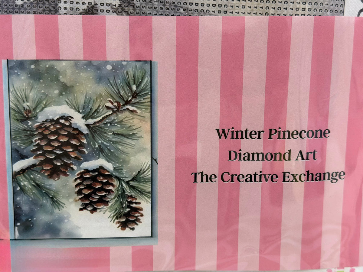 Winter pine cone diamond art kit
