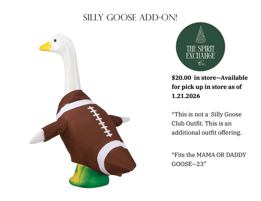 Football Goose Outfit (Large)