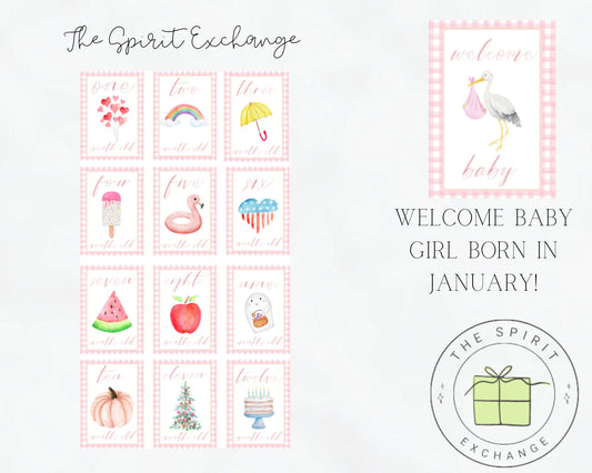 GIRL Personalized First Year Monthly Seasonal Baby Milestone Cards | Customized to Baby's Birth Month (Copy)