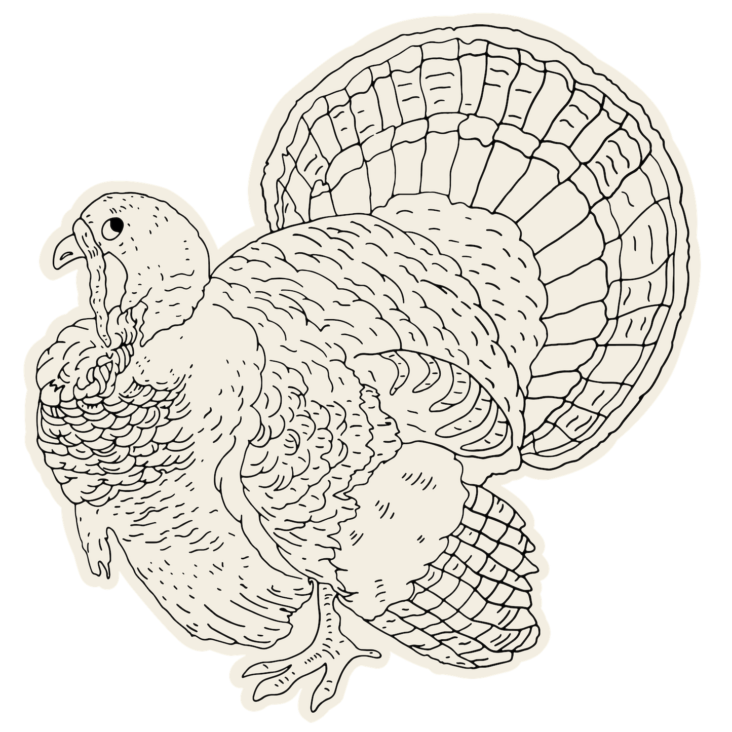 Hester & Cook Turkey Placemat (12 pack)