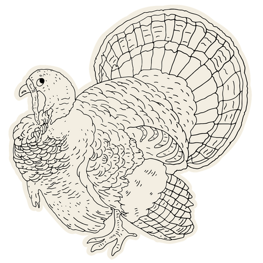 Hester & Cook Turkey Placemat (12 pack)