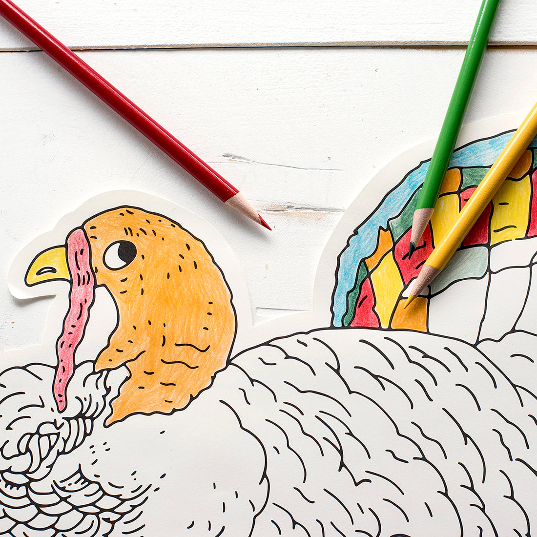 Hester & Cook Turkey Placemat (12 pack)