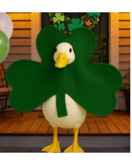St. Patrick's Day Shamrock Silly Goose Outfit