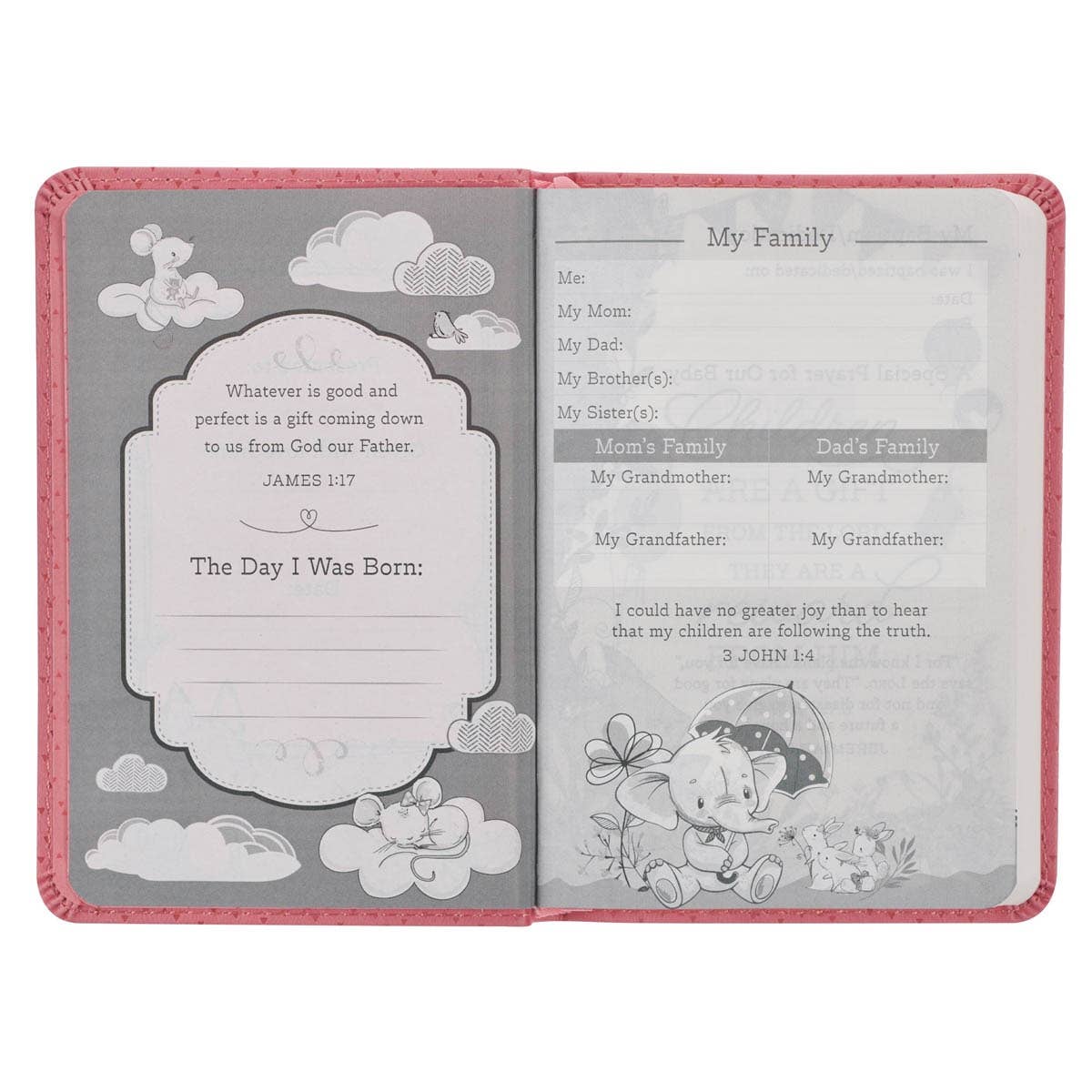 Bible NLT Infant New Testament Faux leather, Pink