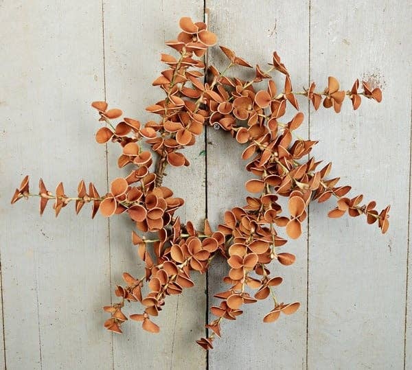 ISB79972- 14" (6.5in) Fall Snapdragon Leaves wreath