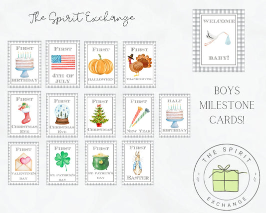 Digital Download Watercolor Gingham Baby Boy Milestone Cards | Baby's First Year Keepsake